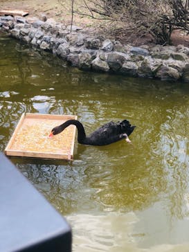 旭川市旭山動物園に投稿された画像（2021/5/6）