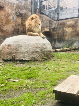 旭川市旭山動物園に投稿された画像（2021/5/6）