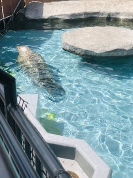 旭川市旭山動物園に投稿された画像（2021/5/6）