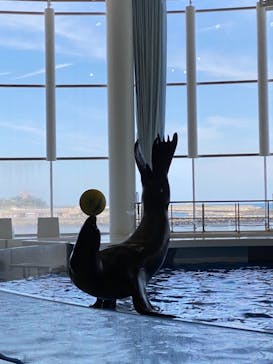 アクアワールド茨城県大洗水族館に投稿された画像（2021/5/6）