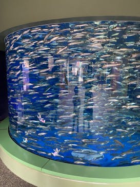 アクアワールド茨城県大洗水族館に投稿された画像（2021/5/6）