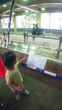 よこはま動物園ズーラシアに投稿された画像（2021/5/6）