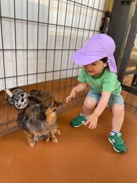 世界の名犬牧場に投稿された画像（2021/5/6）