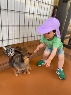 世界の名犬牧場 口コミ一覧 アソビュー 世界の名犬牧場 口コミ一覧 アソビュー
