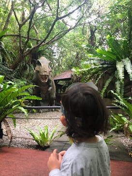 御菓子御殿　名護店　やんばる亜熱帯の森DINO恐竜PARKに投稿された画像（2021/5/6）