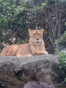 東武動物公園に投稿された画像（2021/5/6）