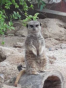 東武動物公園に投稿された画像（2021/5/6）