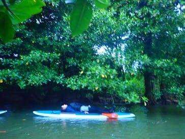 石垣島 ADVENTURE PiPi（イシガキジマアドベンチャーピピ）に投稿された画像（2021/5/6）