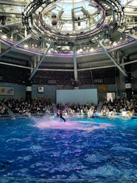 マクセル アクアパーク品川に投稿された画像（2021/5/6）