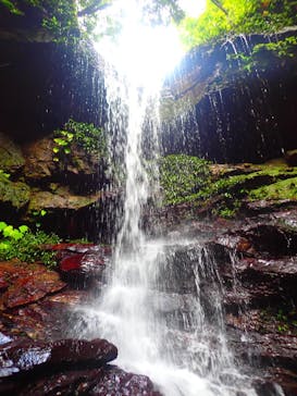 西表島 ADVENTURE PiPi（アドベンチャーピピ）に投稿された画像（2021/5/6）