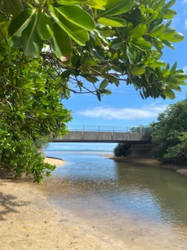 西表島 ADVENTURE PiPi（アドベンチャーピピ）に投稿された画像（2021/5/6）