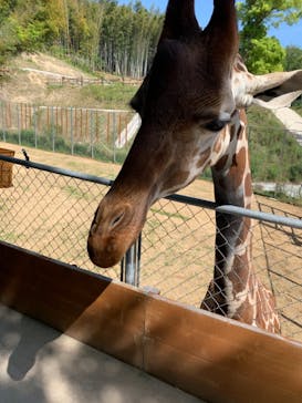 しろとり動物園に投稿された画像（2021/5/6）