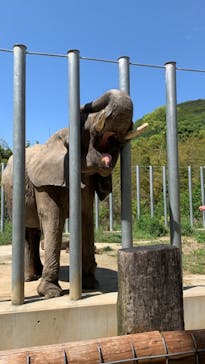 しろとり動物園に投稿された画像（2021/5/6）