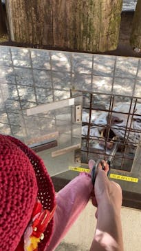 群馬サファリパークに投稿された画像（2021/5/6）