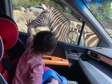 群馬サファリパークに投稿された画像（2021/5/6）