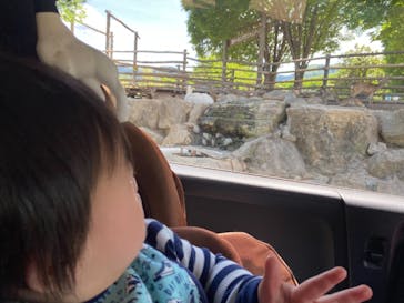 群馬サファリパークに投稿された画像（2021/5/6）