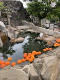 伊豆シャボテン動物公園に投稿された画像（2021/5/6）