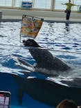 アクアワールド茨城県大洗水族館に投稿された画像（2021/5/6）