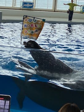 アクアワールド茨城県大洗水族館に投稿された画像（2021/5/6）