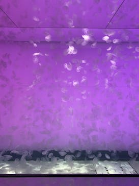 アクアワールド茨城県大洗水族館に投稿された画像（2021/5/6）