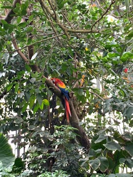 アロハガーデンたてやまに投稿された画像（2021/5/6）