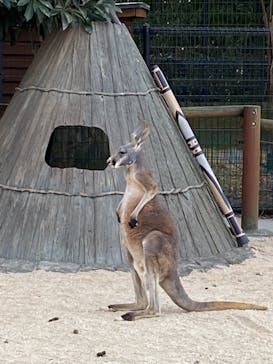 東武動物公園に投稿された画像（2021/5/6）