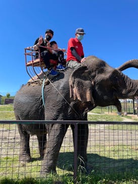 岩手サファリパークに投稿された画像（2021/5/6）