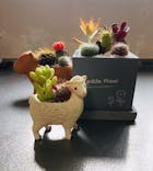 伊豆シャボテン動物公園に投稿された画像（2021/5/6）