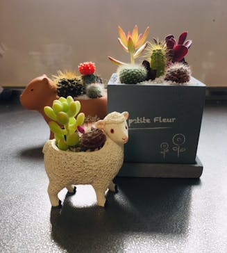 伊豆シャボテン動物公園に投稿された画像（2021/5/6）