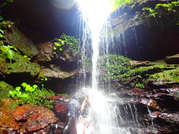 西表島 ADVENTURE PiPi（アドベンチャーピピ）に投稿された画像（2021/5/6）