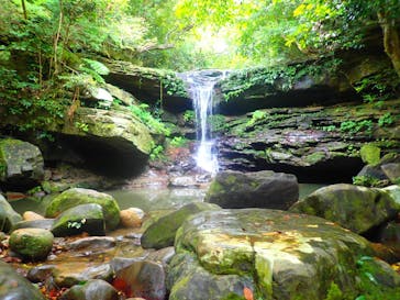 西表島 ADVENTURE PiPi（アドベンチャーピピ）に投稿された画像（2021/5/6）