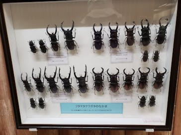 長崎バイオパークに投稿された画像（2021/5/6）