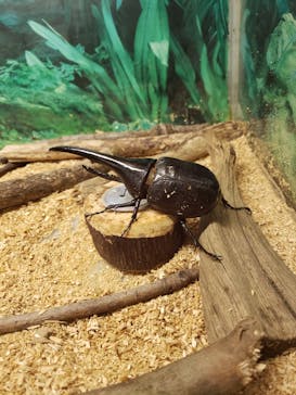 長崎バイオパークに投稿された画像（2021/5/6）