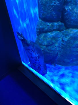 横浜・八景島シーパラダイスに投稿された画像（2021/5/6）