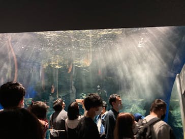 マリンワールド海の中道に投稿された画像（2021/5/6）