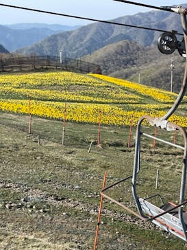 びわ湖バレイに投稿された画像（2021/5/6）