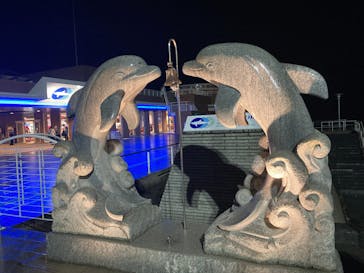 アクアワールド茨城県大洗水族館に投稿された画像（2021/5/6）