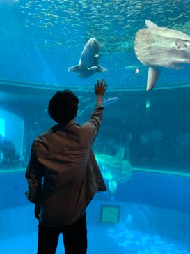 横浜・八景島シーパラダイスに投稿された画像（2021/5/6）