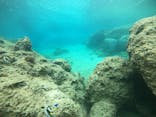 武藤潜水に投稿された画像（2021/5/7）