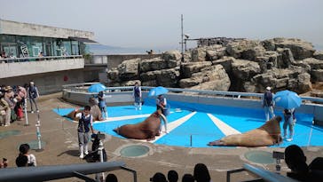 大分マリーンパレス水族館 「うみたまご」に投稿された画像（2021/5/7）