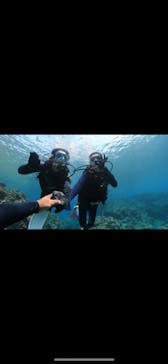 DIVING-SHOP SUNSに投稿された画像（2021/5/7）