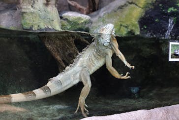 鳥羽水族館に投稿された画像（2021/5/7）