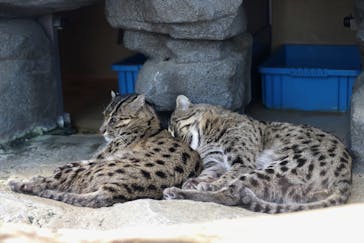 鳥羽水族館に投稿された画像（2021/5/7）