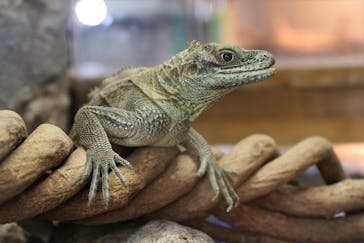 鳥羽水族館に投稿された画像（2021/5/7）