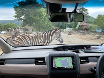 群馬サファリパークに投稿された画像（2021/5/7）