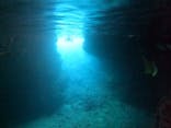 武藤潜水に投稿された画像（2021/5/7）