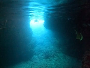 武藤潜水に投稿された画像（2021/5/7）