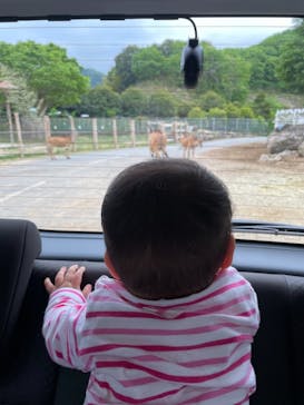 群馬サファリパークに投稿された画像（2021/5/7）