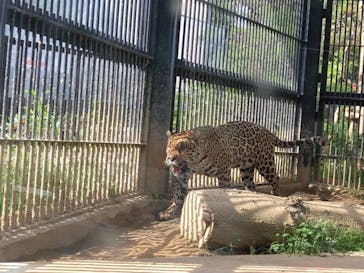 沖縄こどもの国に投稿された画像（2021/5/7）