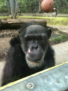 沖縄こどもの国に投稿された画像（2021/5/7）